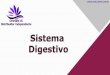 Sistema Digestivo   Omnilife ES - Distribuidor Independente