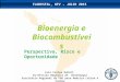SojaPlus workshop4 - Bioenergia_FAO