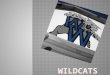 Wildcats powerpoint brittney b