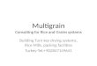 Multigrain Turn Key milling Systems