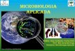 Microbiologia aplicada aula03 microrganismos