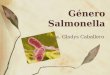 Género Salmonella