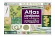 Atlas Microalgas Instituto de Botânica