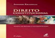 Antônio Riccitelli - Direito Constitucional - Teoria Do Estado e Da Constituição - Pesquisável - 4º Edição - Ano 2007