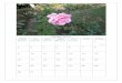 Calendario 2012 Com Fotos de Flores