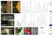 Turismo de Jardins nos Açores 19-6-2015.pdf