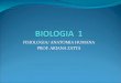 Fisiologia Anatomia Humana - Sistema Digest³rio Parte 01 PDF