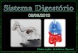 Slides Sobre Sistema Digestório, Medicina Veterinária. Elaborado Por Kristhian Felipe Spacki