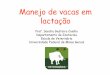 Embrapa Manejo de vacas em lactacao Modo de Compatibili_dade.pdf