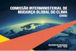 Comissão Interministerial de Mudança Global Do Clima - Relatório de Atividades 2013-2014