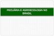 Pecuária e Agroecologia No Brasil