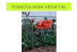 1. Toxicologia Vegetal