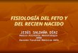 Fisiologã_a Del Feto y Del Recien Nacido Clase Teorica (1)
