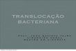 AULA Transloca§£o Bacteriana