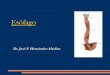 (01) Anatomia y Fisiologia Del Esofago