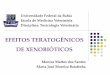 Efeitos Teratogenicos de Xenobioticos Para Alunos