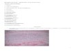 4. Tecido Cartilaginoso e Ósseo.pdf