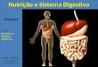 Nutrição e Sistema Digestivo