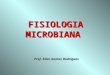 FISIOLOGIA MICROBIANA2
