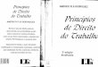 Princípios de Direito Do Trabalho - Américo Plá Rodrigues, 3a Edição
