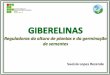 GIBERELINAS 2013.pdf