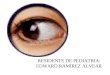 Anatomia y Fisiologia Ocular