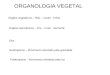 Organologia Vegetal