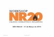 Workshop NR 20 São Paulo 31-03-2014 Ricardo Shamá