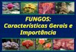 1797_Fungos - Caracteristicas Gerais e Importancia