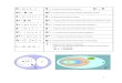 Matemática - Conjunto dos Números.pdf