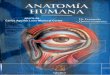 tratado anatomia humana - F. Quiroz - tomo1.pdf