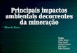 MIN103 - Principais Impactos Ambientais Decorrentes Da Mineração de Ferro