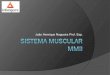 Sistema Muscular MMII