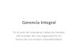 Gerencia Integral.pptx