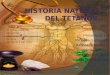 36144890 Historia Natural Del Tetanos