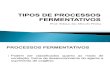 Slide 3 -Tipos de Processos Fermentativos