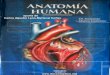 Tratado de Anatomia Humana Quiroz Tomo II
