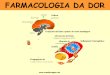 farmacologia da dor.pdf