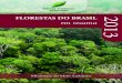 Florestas Do Brasil Em Resumo Atualizado