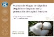 MIP Del Algodon Organico (CIP 2008)