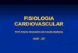 Fisiologia cardiovascular inicial.ppt