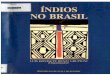 Luis Donizete Benzi Grupioni-Os Indios No Brasil- LIVRO