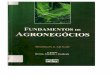 Livro Fundamentos de Agronegócios