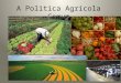A Politica Agrícola Comum 2013014.pptx