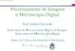 Processamento de Imagens e Microscopia