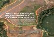 2461 - Souza 2012 - Scientific American Codigo Florestal