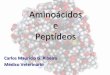 Aula 03 - Aminoácidos e Peptídeos.pdf