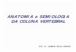 Coluna Anatomia+e+Semiologia n
