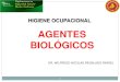 108 Agentes Biologicos