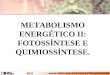 METABOLISMO ENERGÉTICO II   FOTOSSÍNTESE E QUIMIOSSÍNTESE